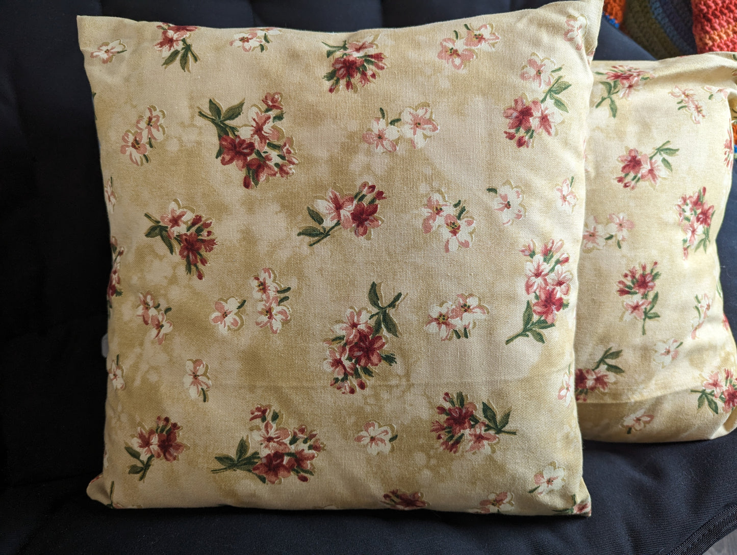Small Throw Pillows